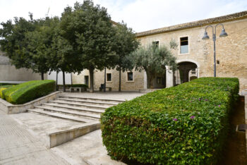 Aumento del 50% en las ayudas para adquisición de libros de texto.